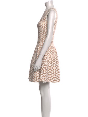 Alexander McQueen Printed Mini Dress