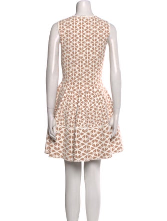 Alexander McQueen Printed Mini Dress