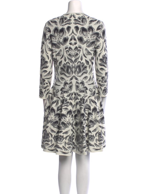 Alexander McQueen Printed Knee-Length Dress