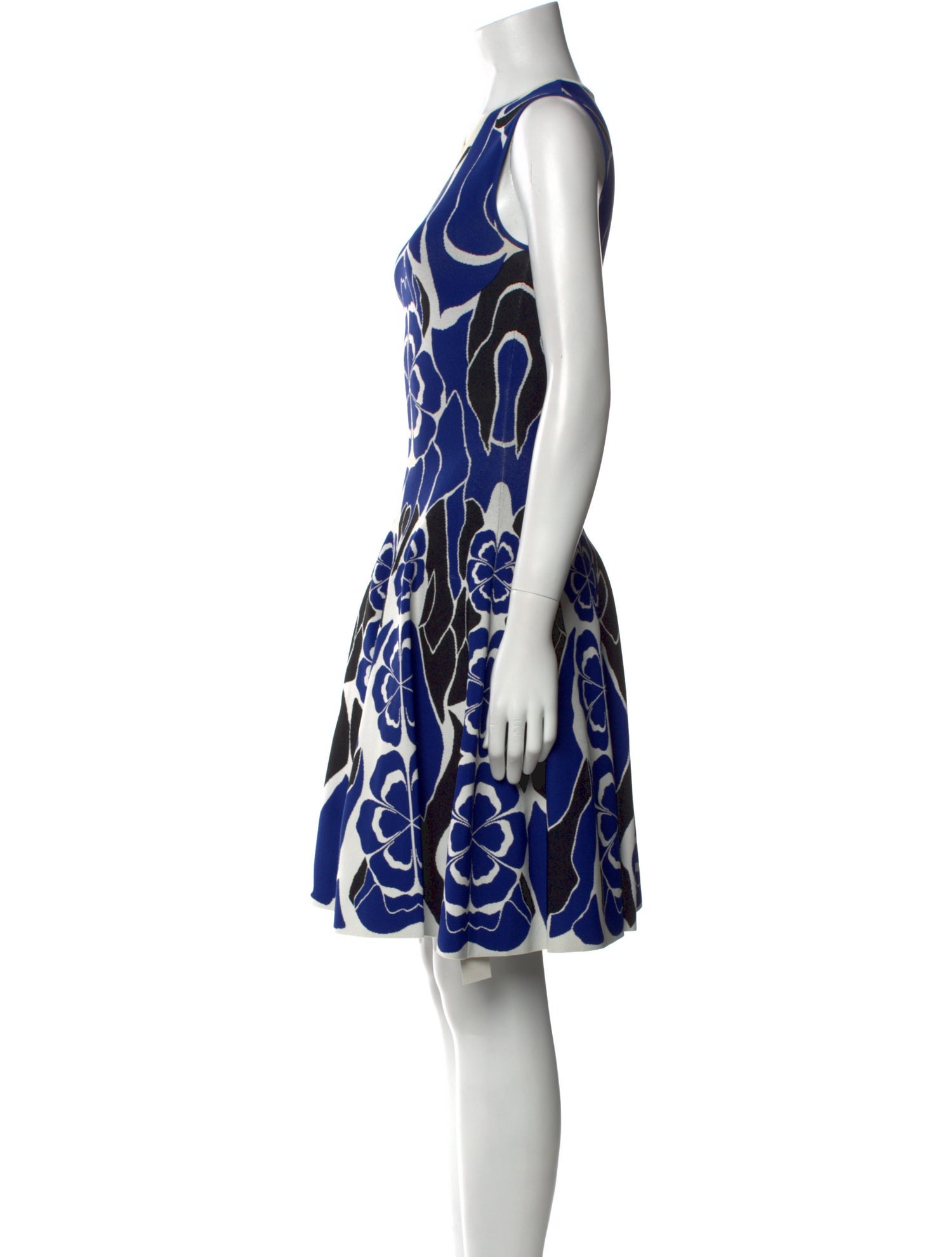 Alexander McQueen Printed Knee-Length Dress