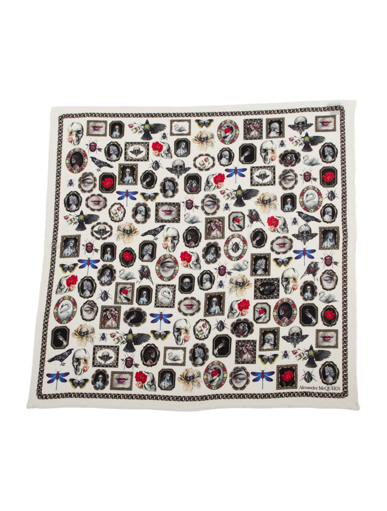Alexander McQueen Printed Scarf