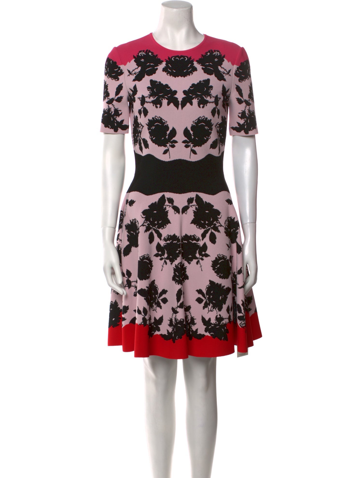 Alexander McQueen Floral Print Mini Dress