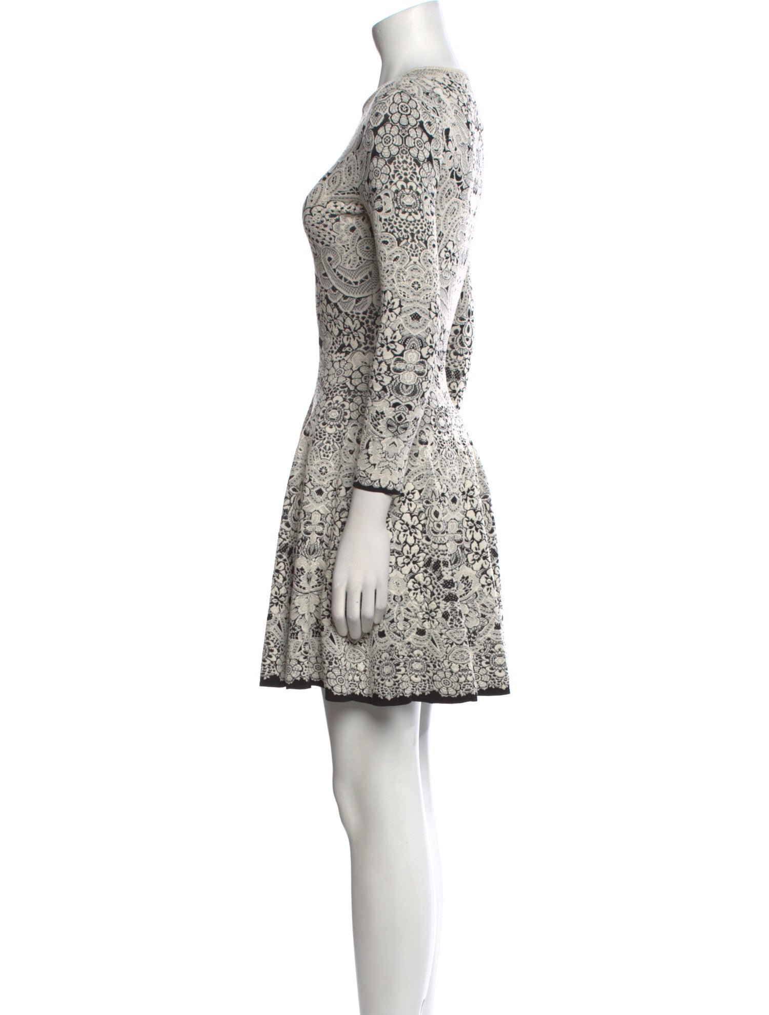 Alexander McQueen Printed Mini Dress