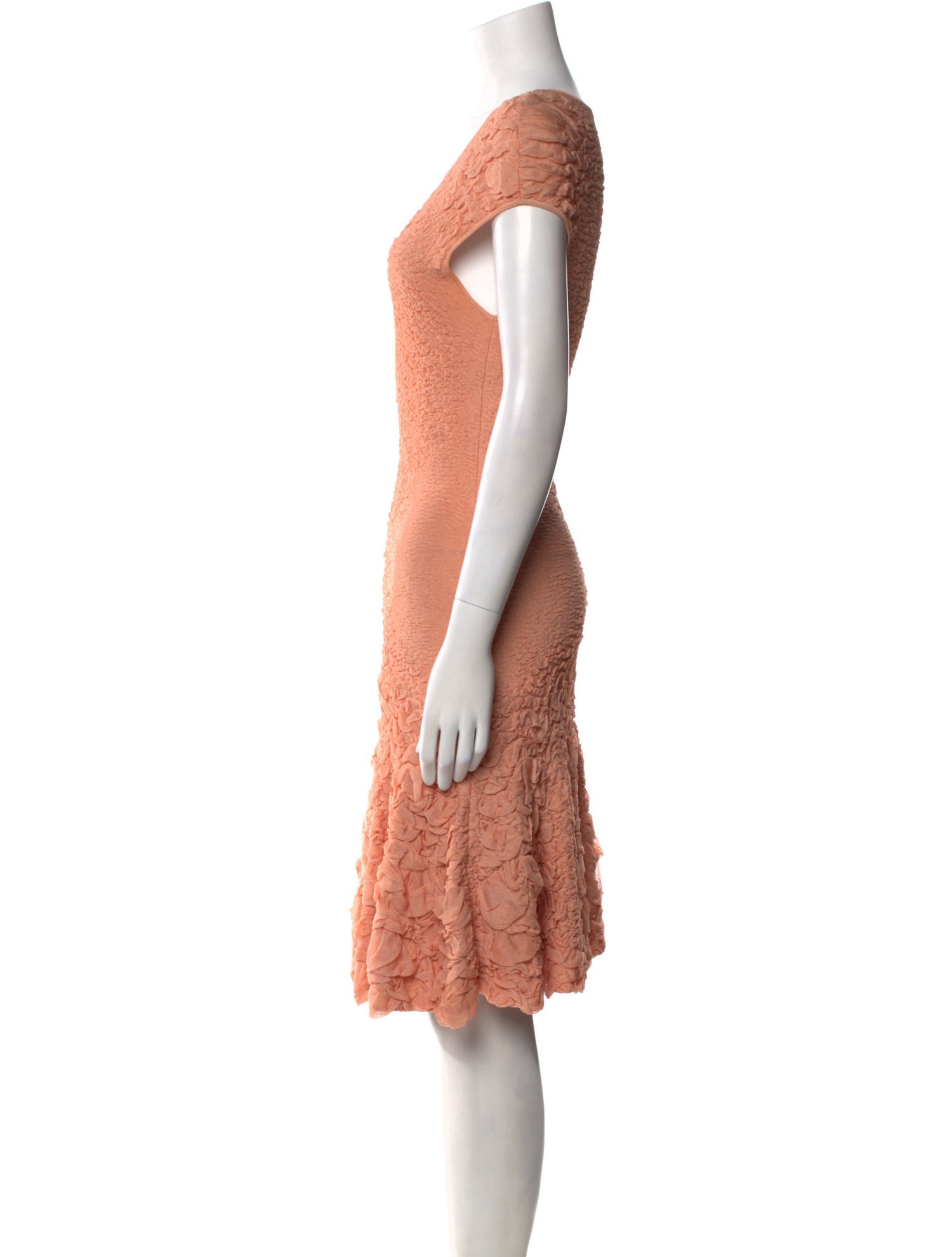 Alexander McQueen Scoop Neck Mini Dress