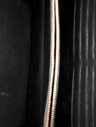 Alexander McQueen Skull Crossbody Bag