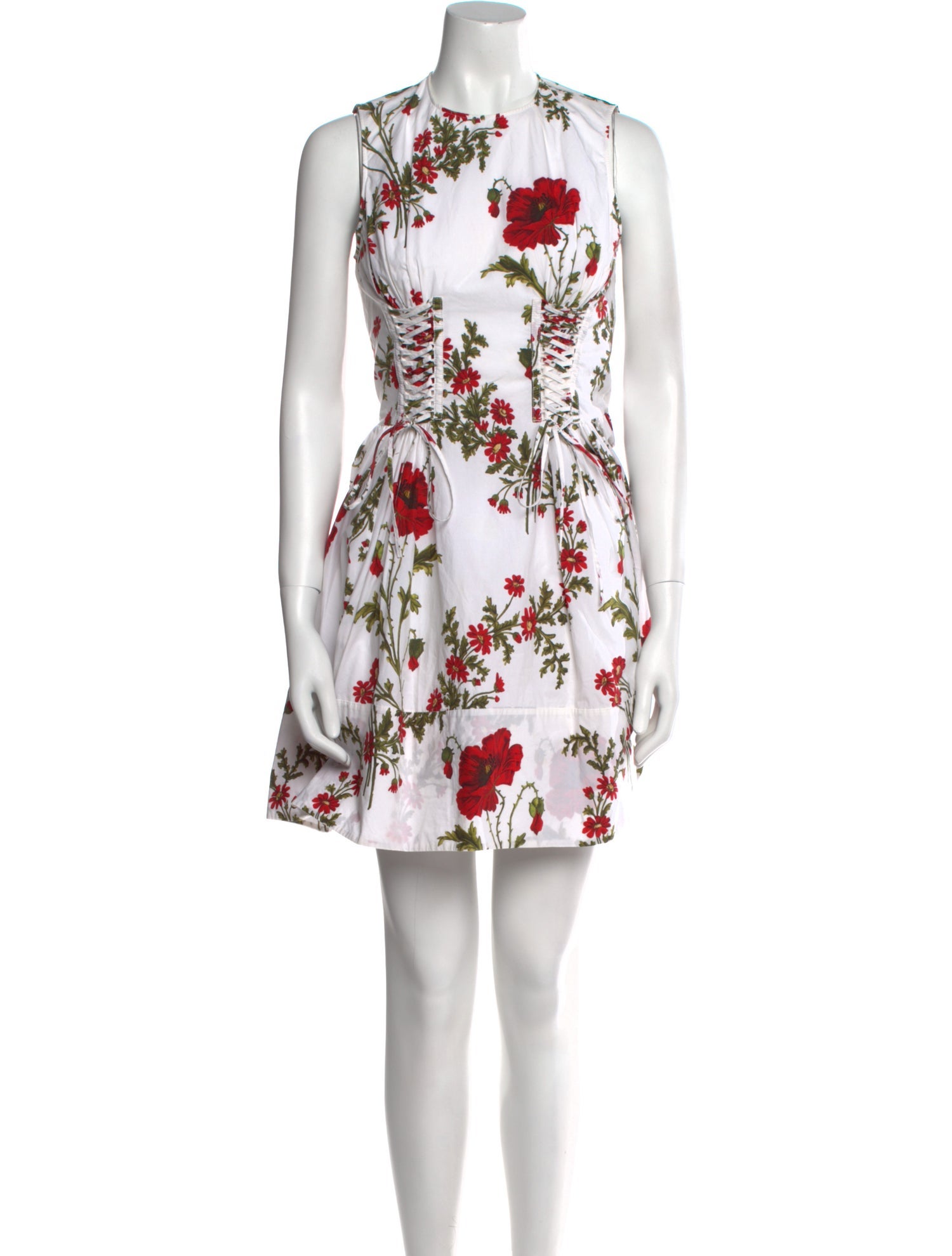 Alexander McQueen Floral Print Mini Dress