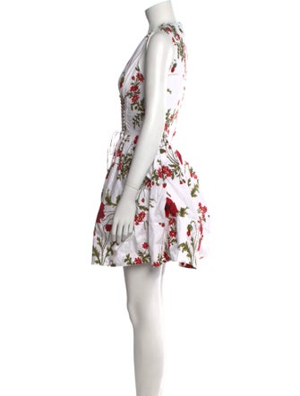 Alexander McQueen Floral Print Mini Dress