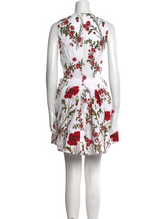 Alexander McQueen Floral Print Mini Dress