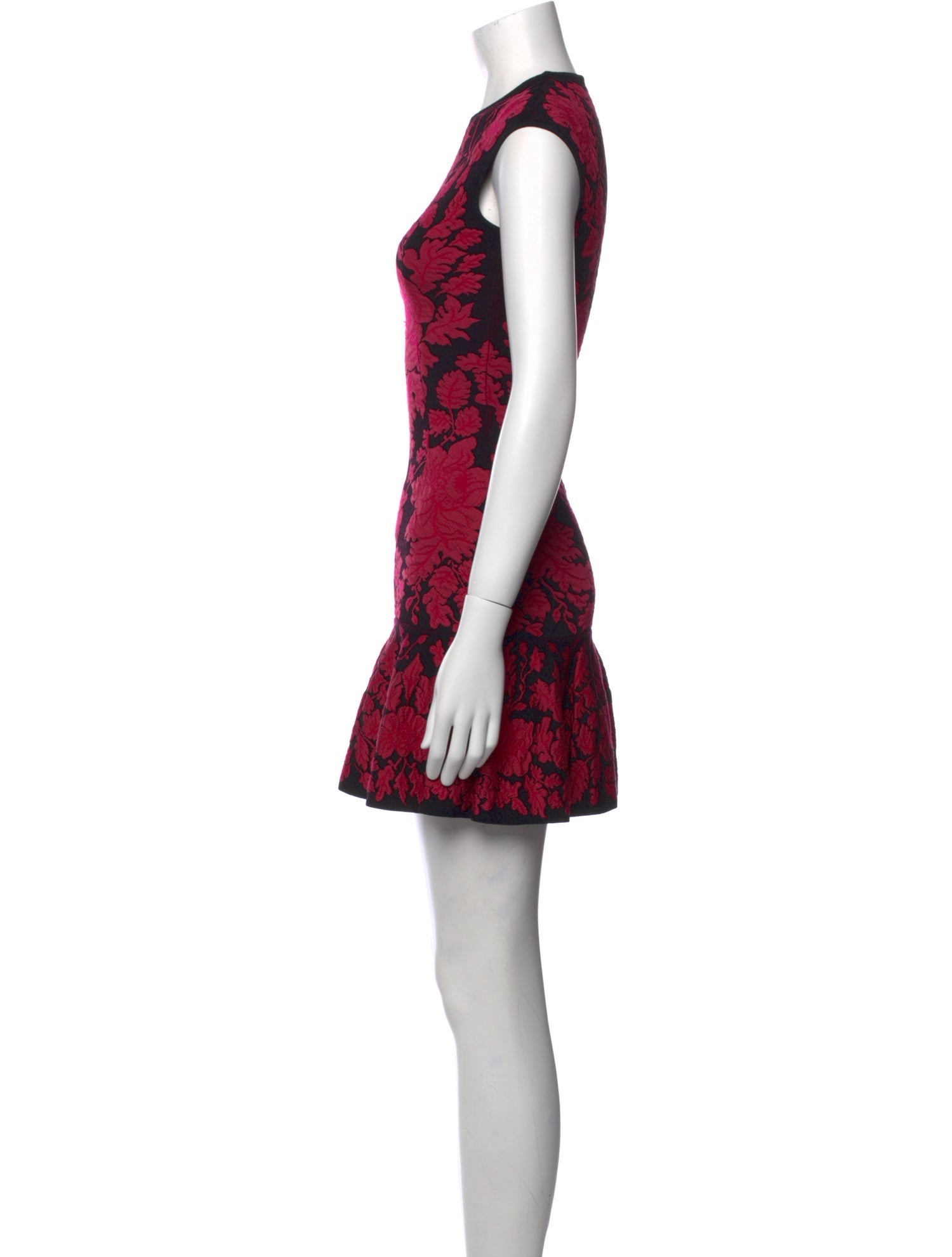 Alexander McQueen Floral Print Mini Dress