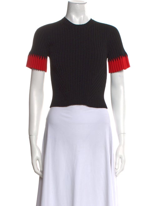 Alexander McQueen Crew Neck Short Sleeve Crop Top