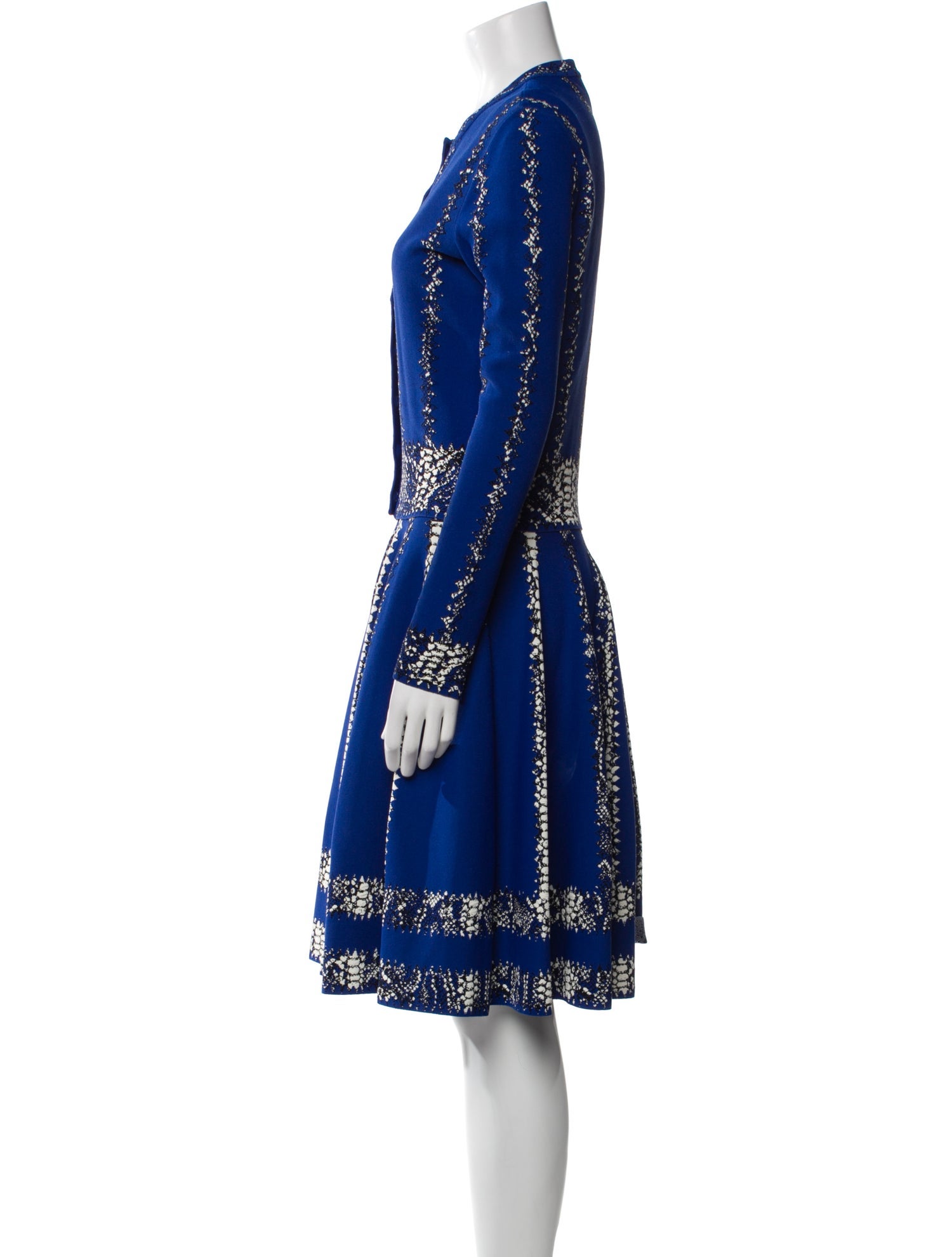 Alexander McQueen Printed Knee-Length Dress