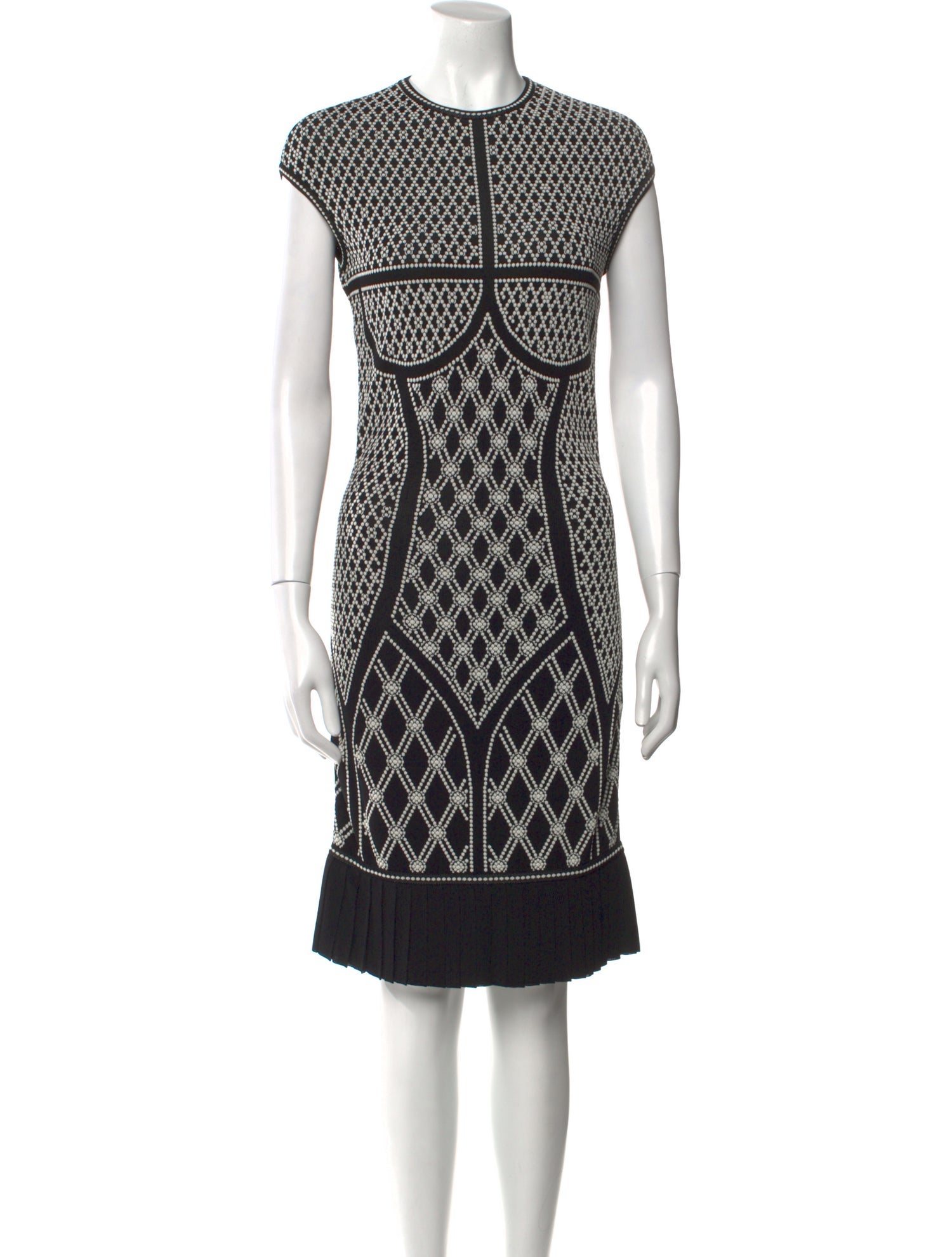 Alexander McQueen Printed Knee-Length Dress