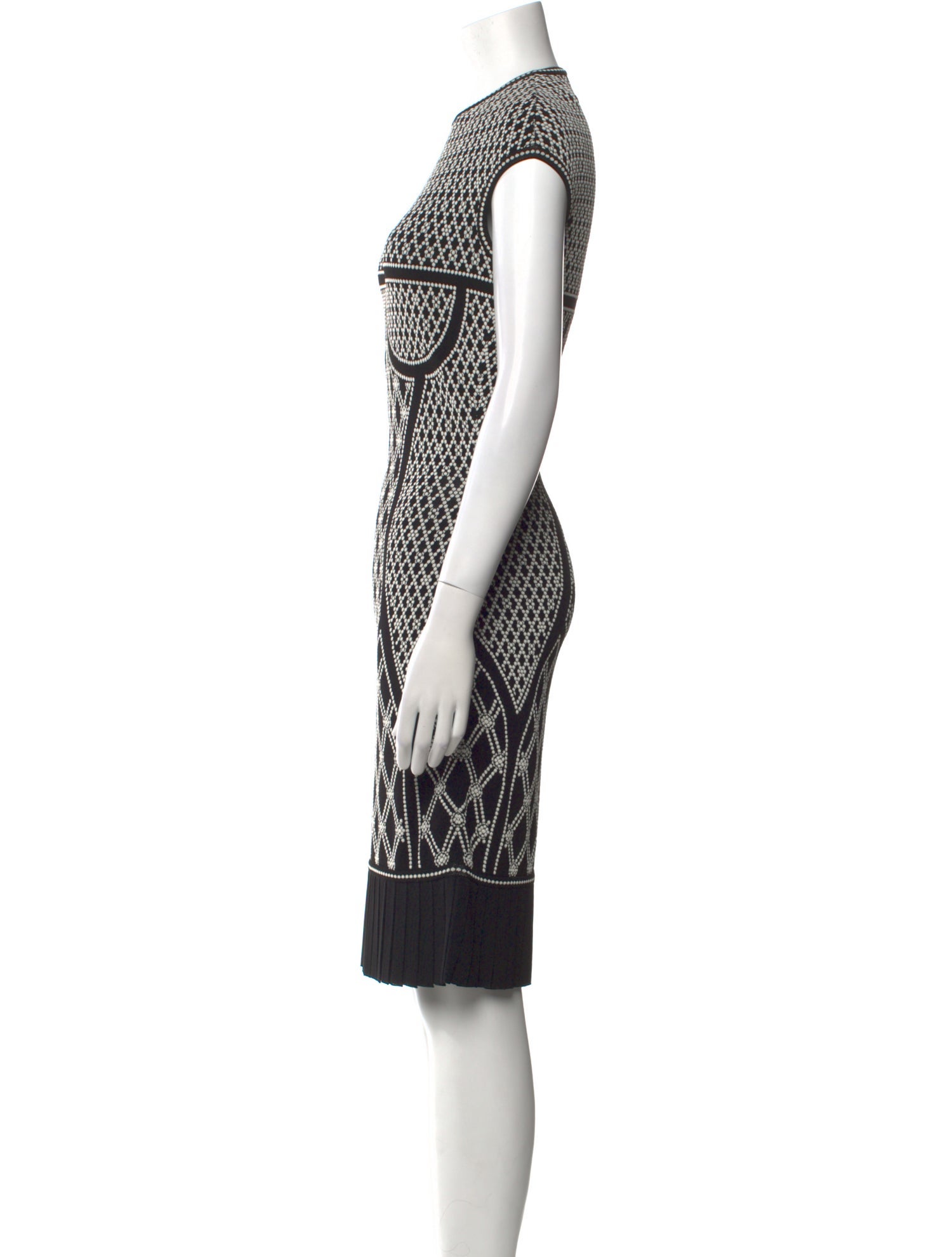 Alexander McQueen Printed Knee-Length Dress