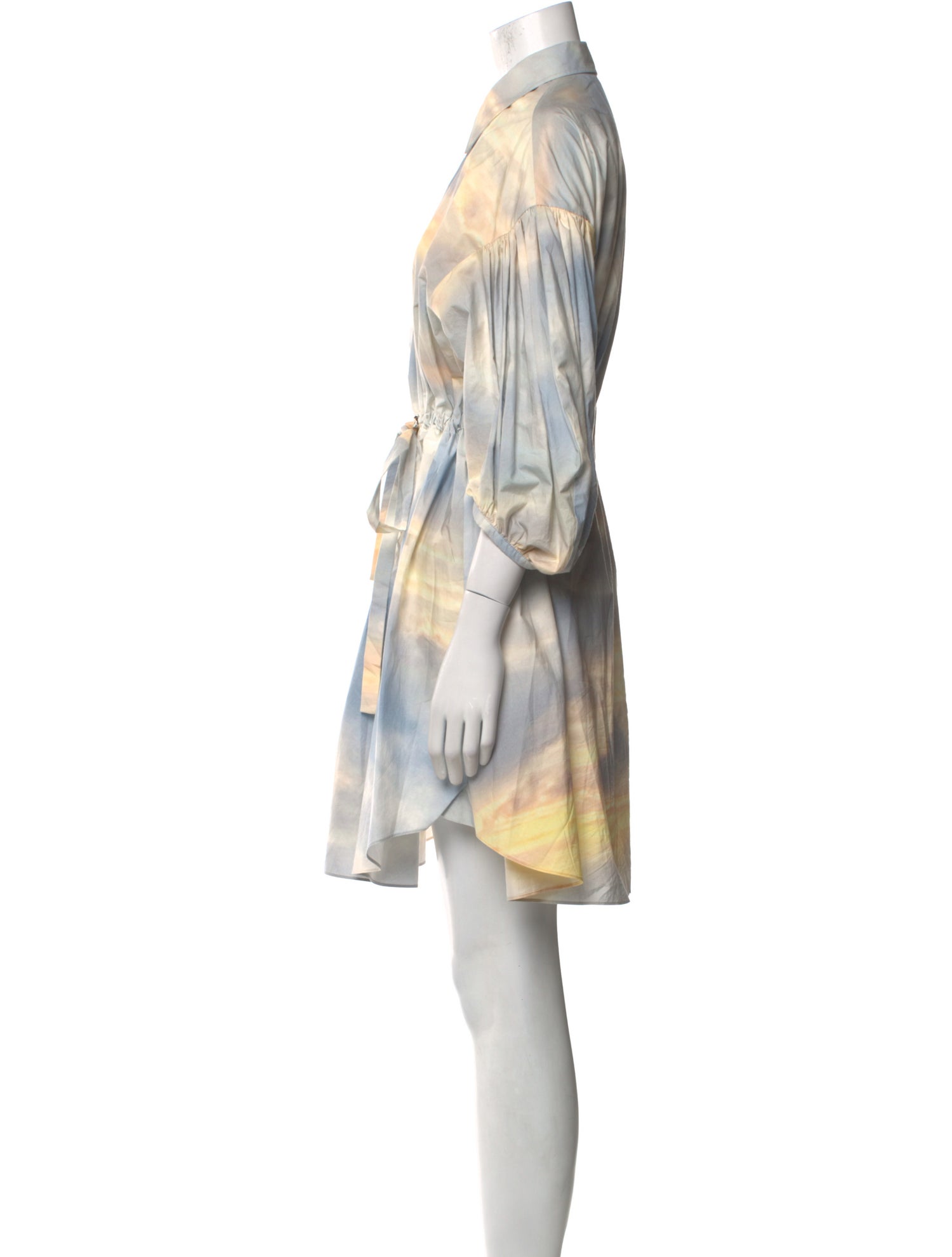 Alexander McQueen Printed Knee-Length Dress