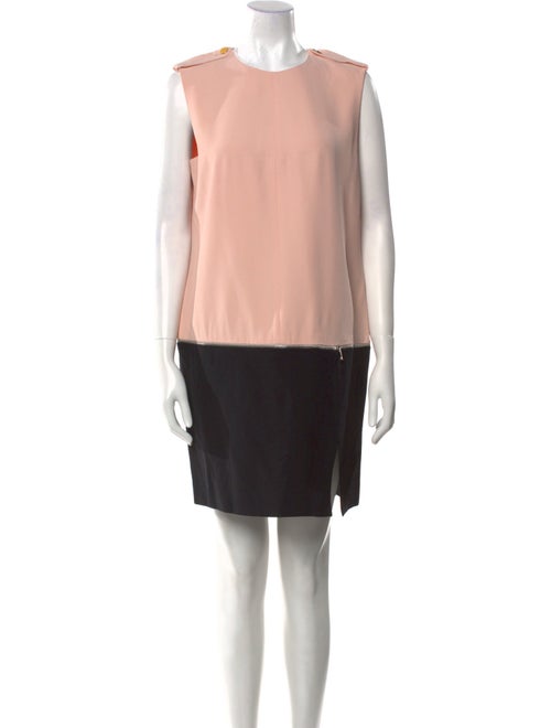Alexander McQueen Crew Neck Mini Dress