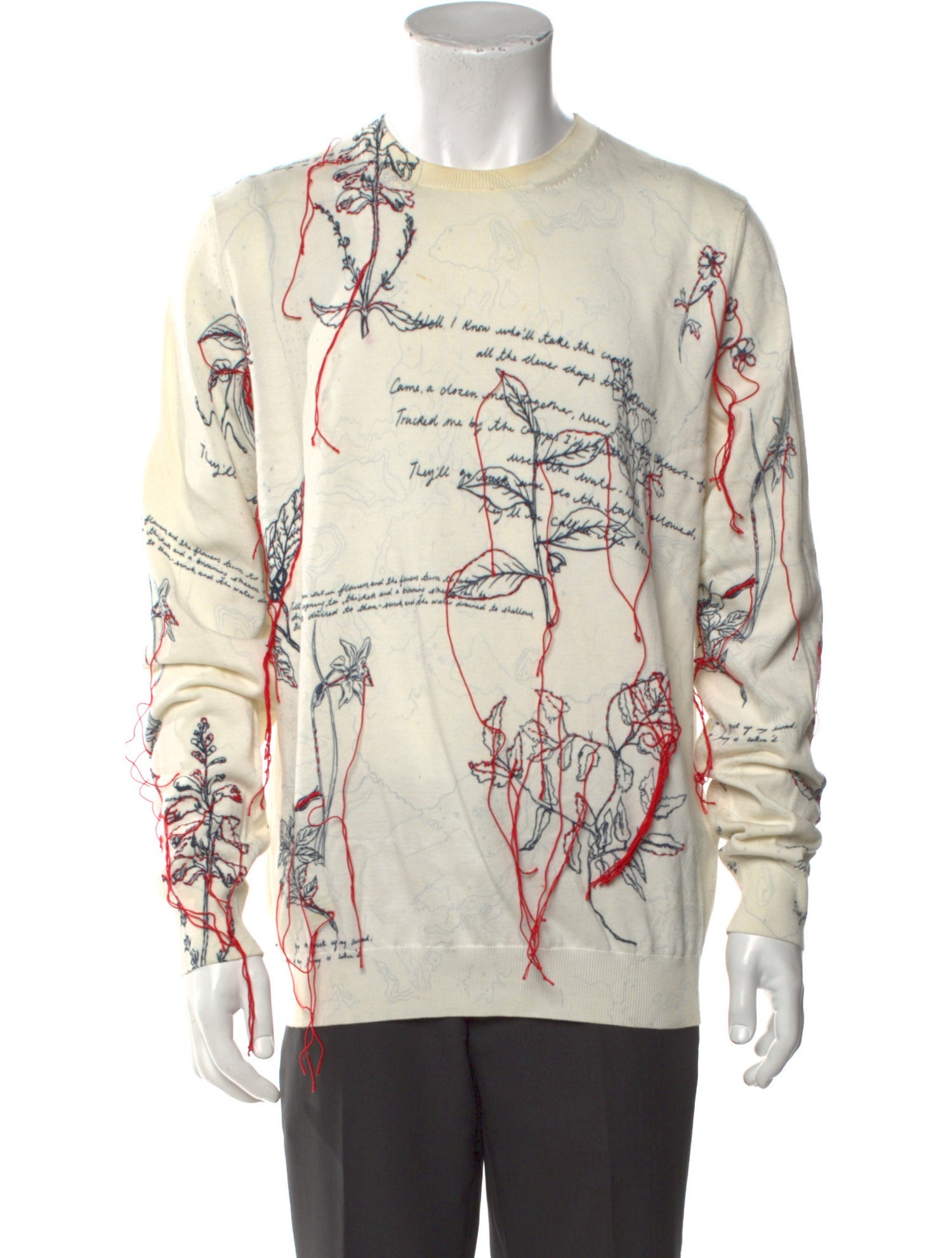 Alexander McQueen Printed Crew Neck Pullover