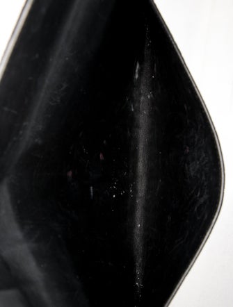 Alexander McQueen Skull Portfolio