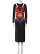 Alexander McQueen Printed Long Dress