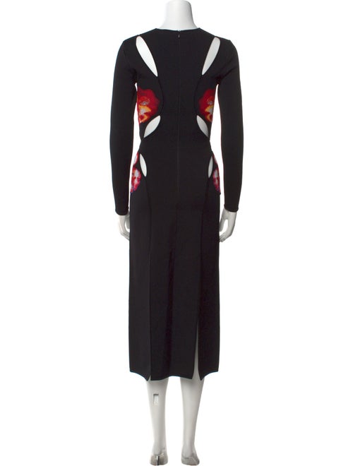 Alexander McQueen Printed Long Dress
