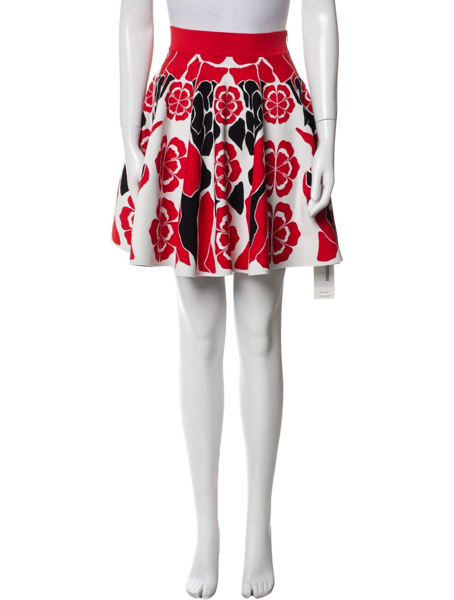 Alexander McQueen Printed Mini Skirt
