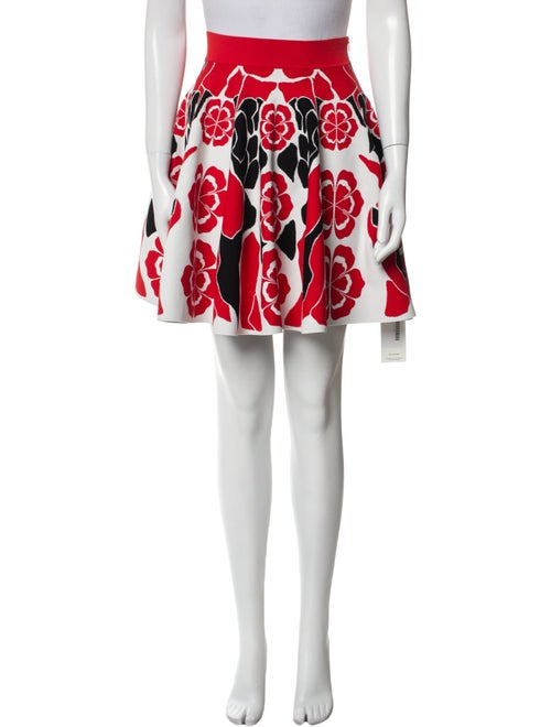 Alexander McQueen Printed Mini Skirt