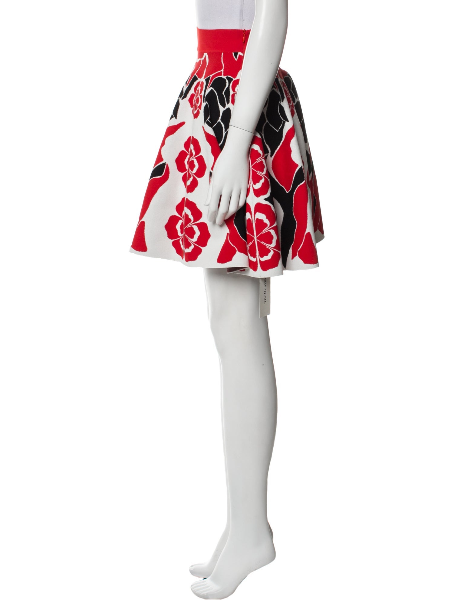 Alexander McQueen Printed Mini Skirt