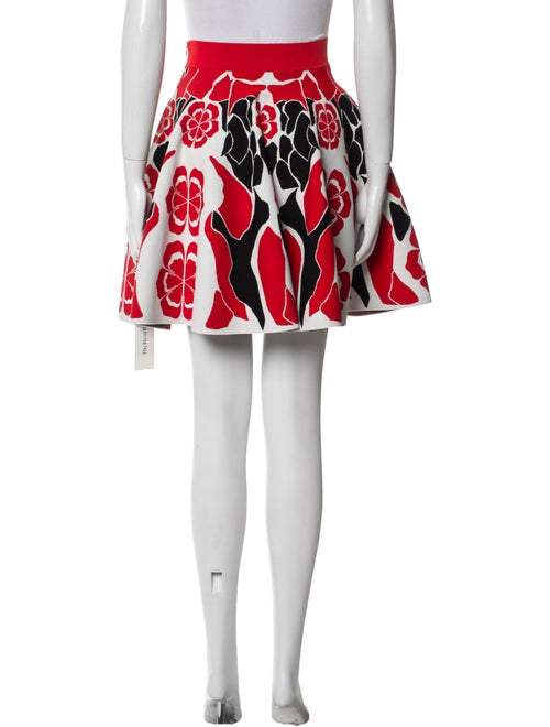 Alexander McQueen Printed Mini Skirt