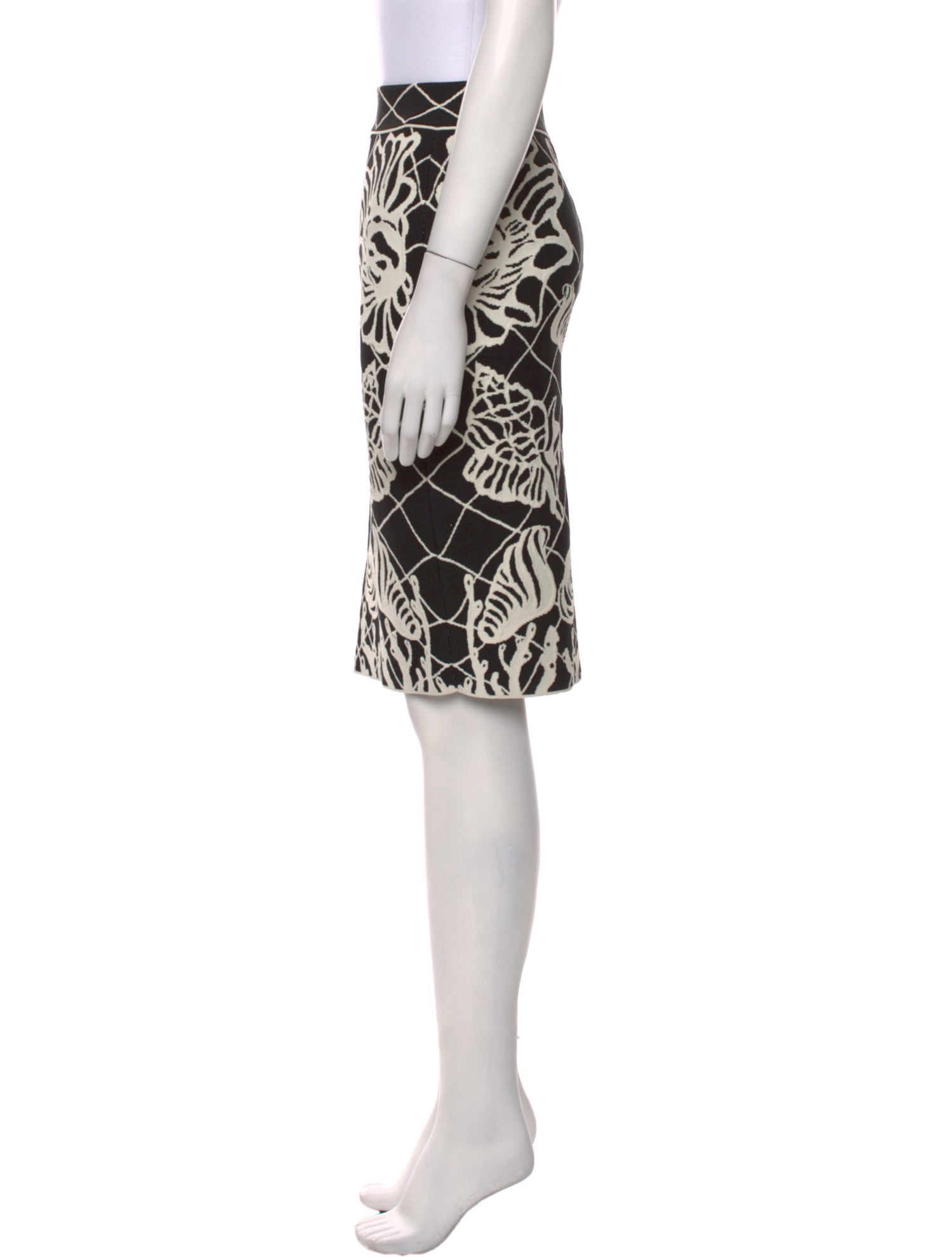 Alexander McQueen Printed Knee-Length Skirt