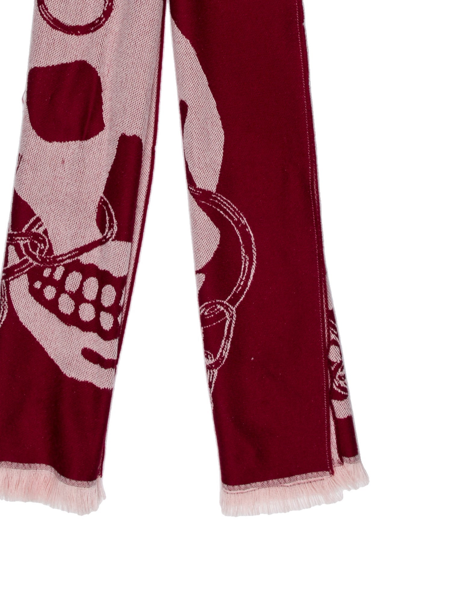 Alexander McQueen Wool Paisley Print Scarf