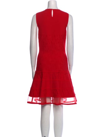 Alexander McQueen Crew Neck Knee-Length Dress