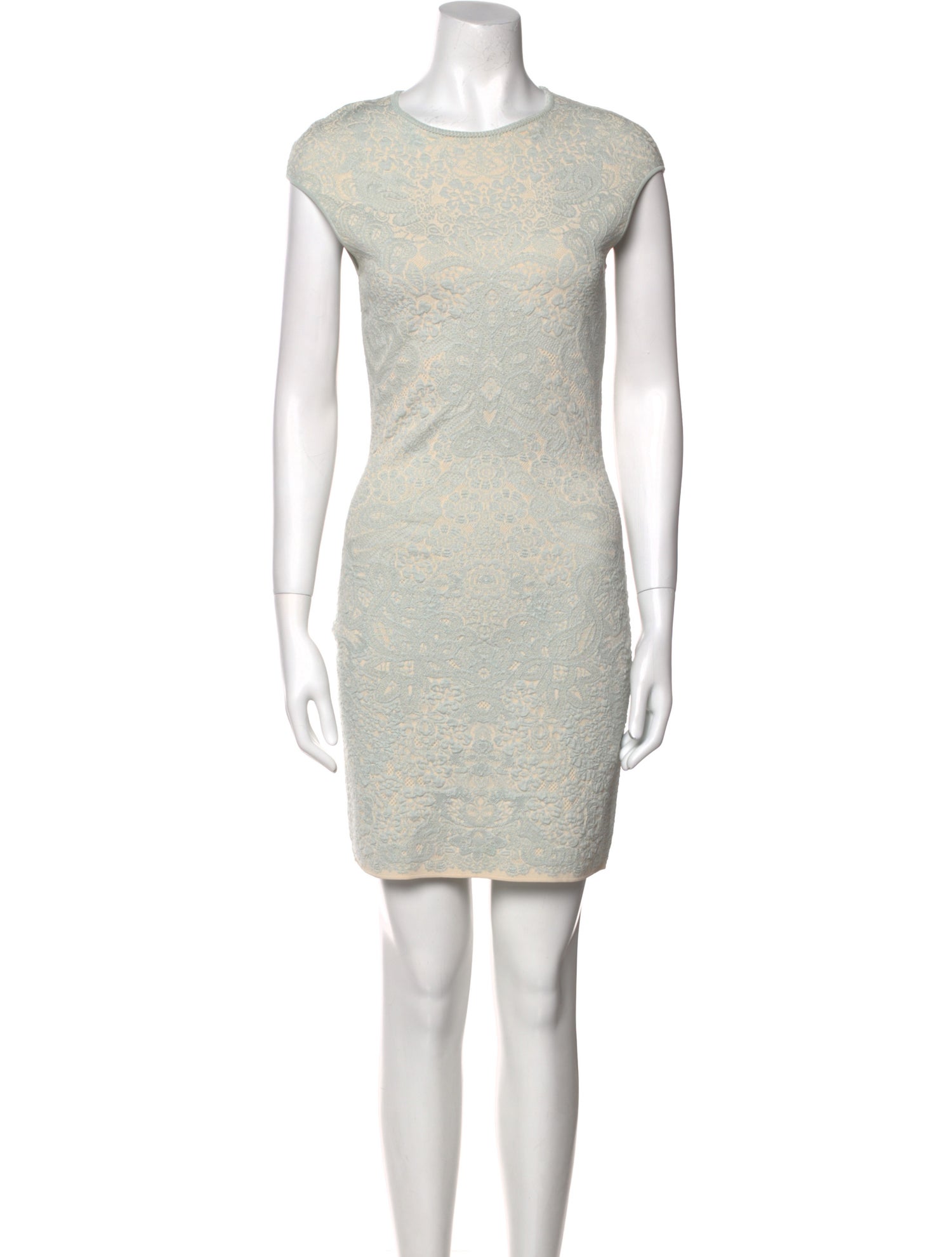 Alexander McQueen Crew Neck Mini Dress