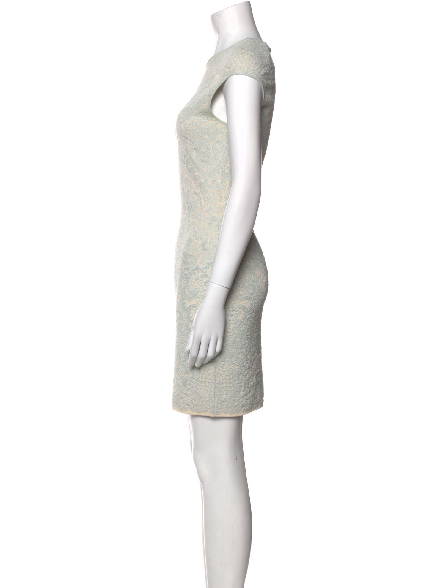 Alexander McQueen Crew Neck Mini Dress