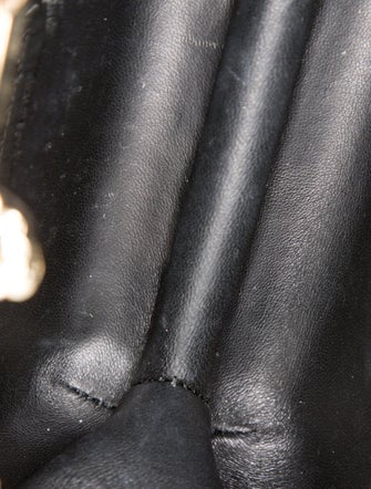 Alexander McQueen Skull Crossbody Bag