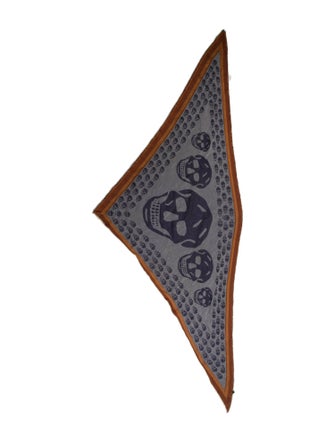 Alexander McQueen Silk Printed Scarf