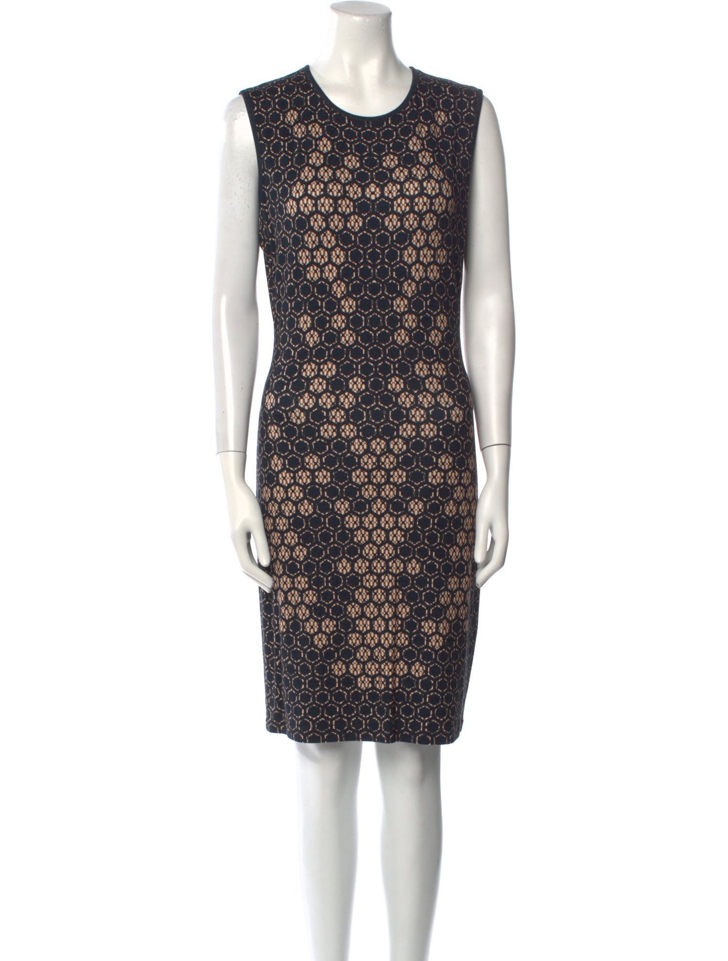Alexander McQueen Printed Knee-Length Dress