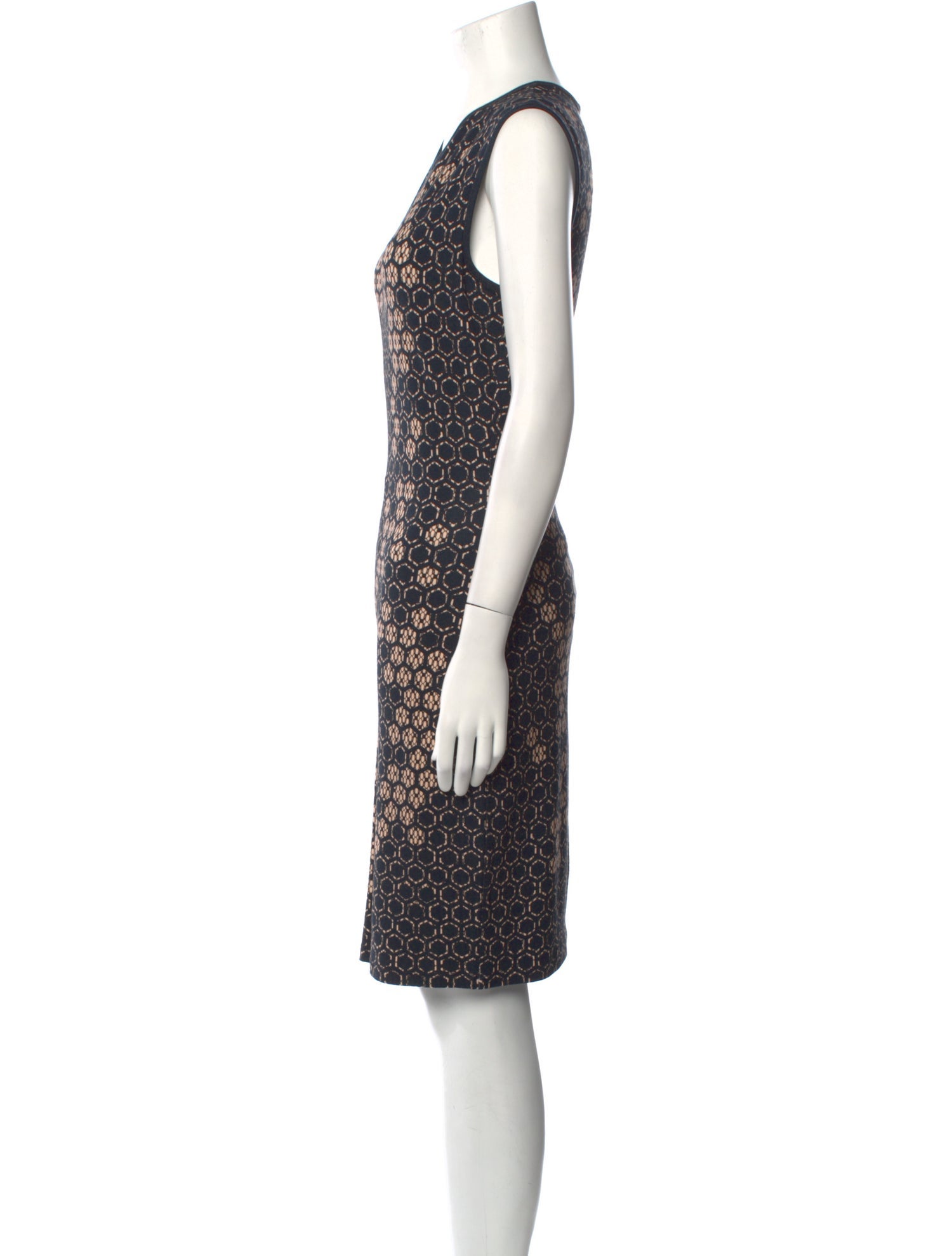 Alexander McQueen Printed Knee-Length Dress