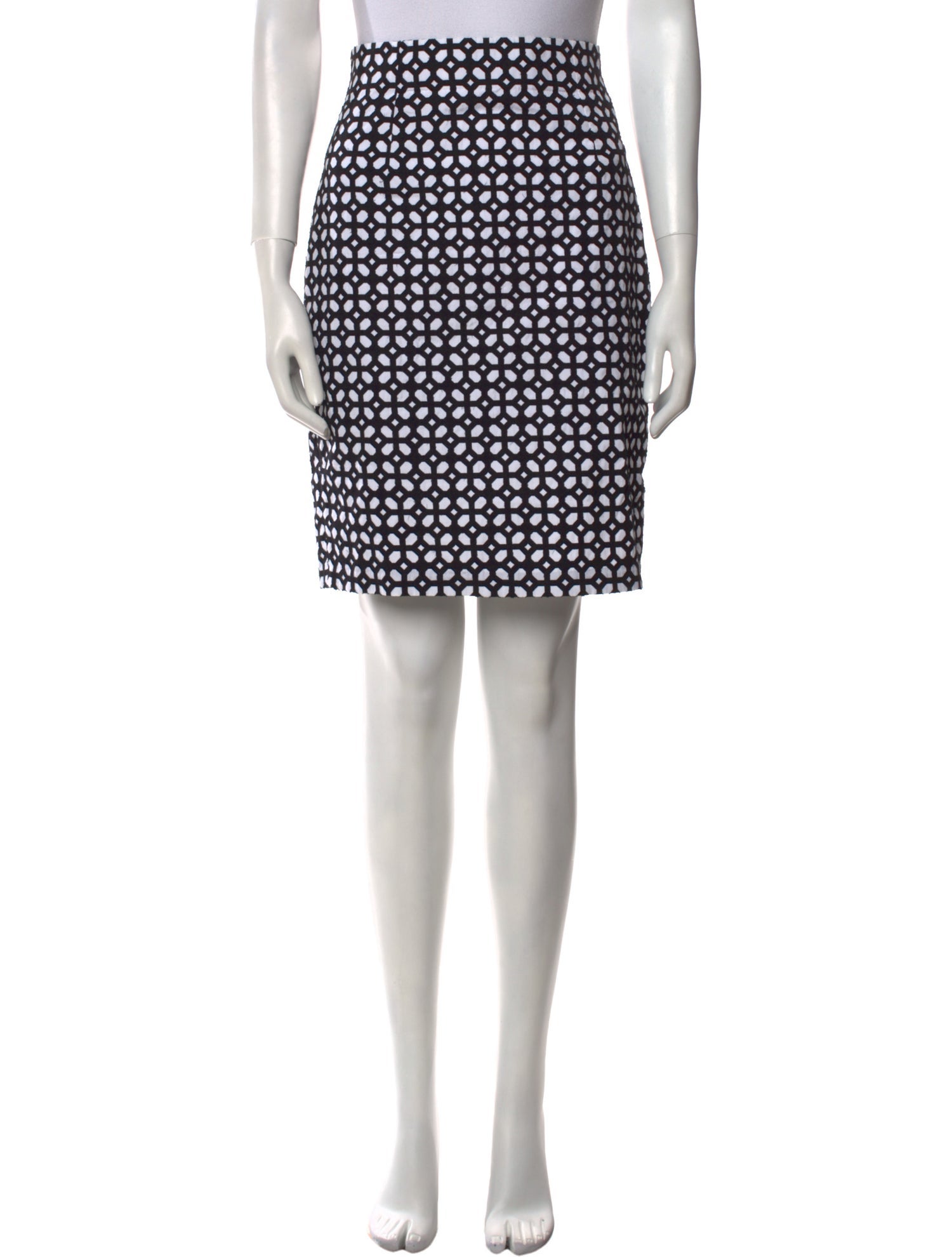 Alexander McQueen Printed Knee-Length Skirt