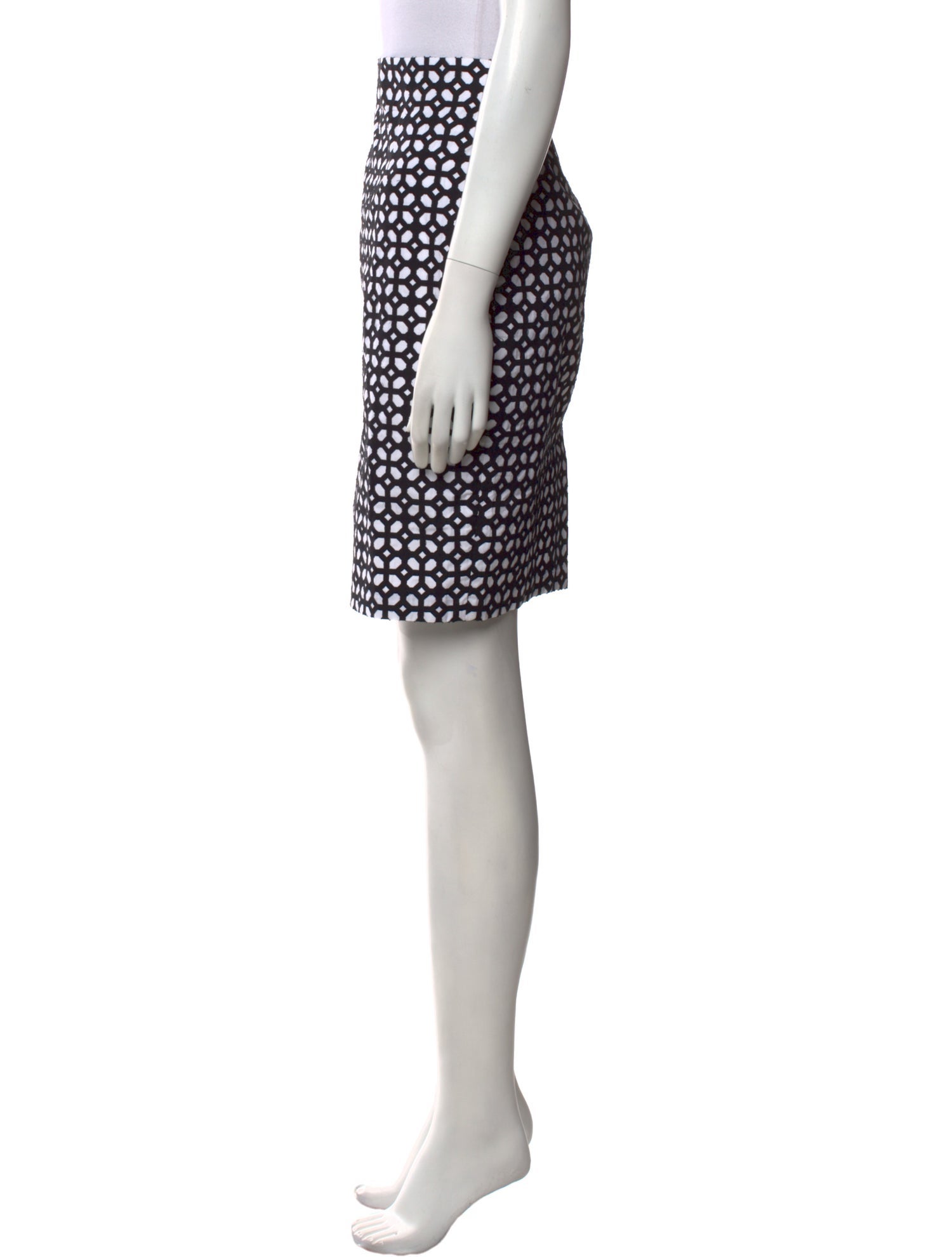 Alexander McQueen Printed Knee-Length Skirt