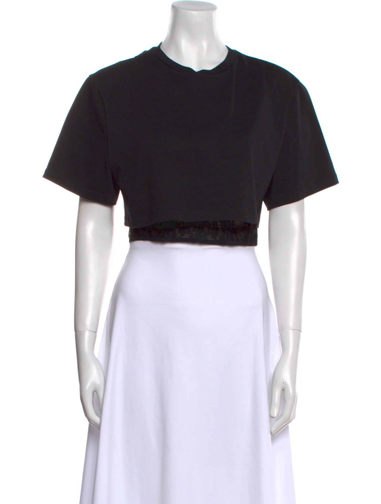 Alexander McQueen Crew Neck Short Sleeve Crop Top