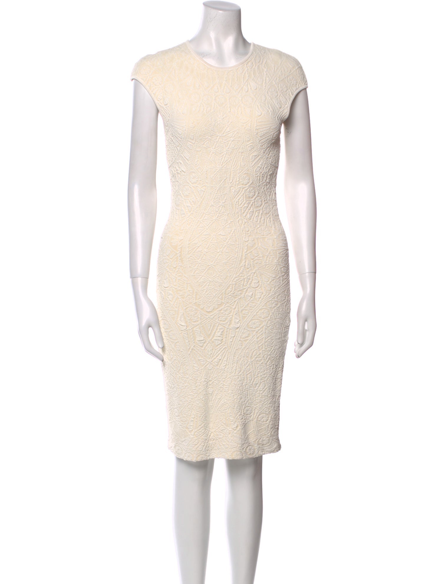 Alexander McQueen Printed Knee-Length Dress