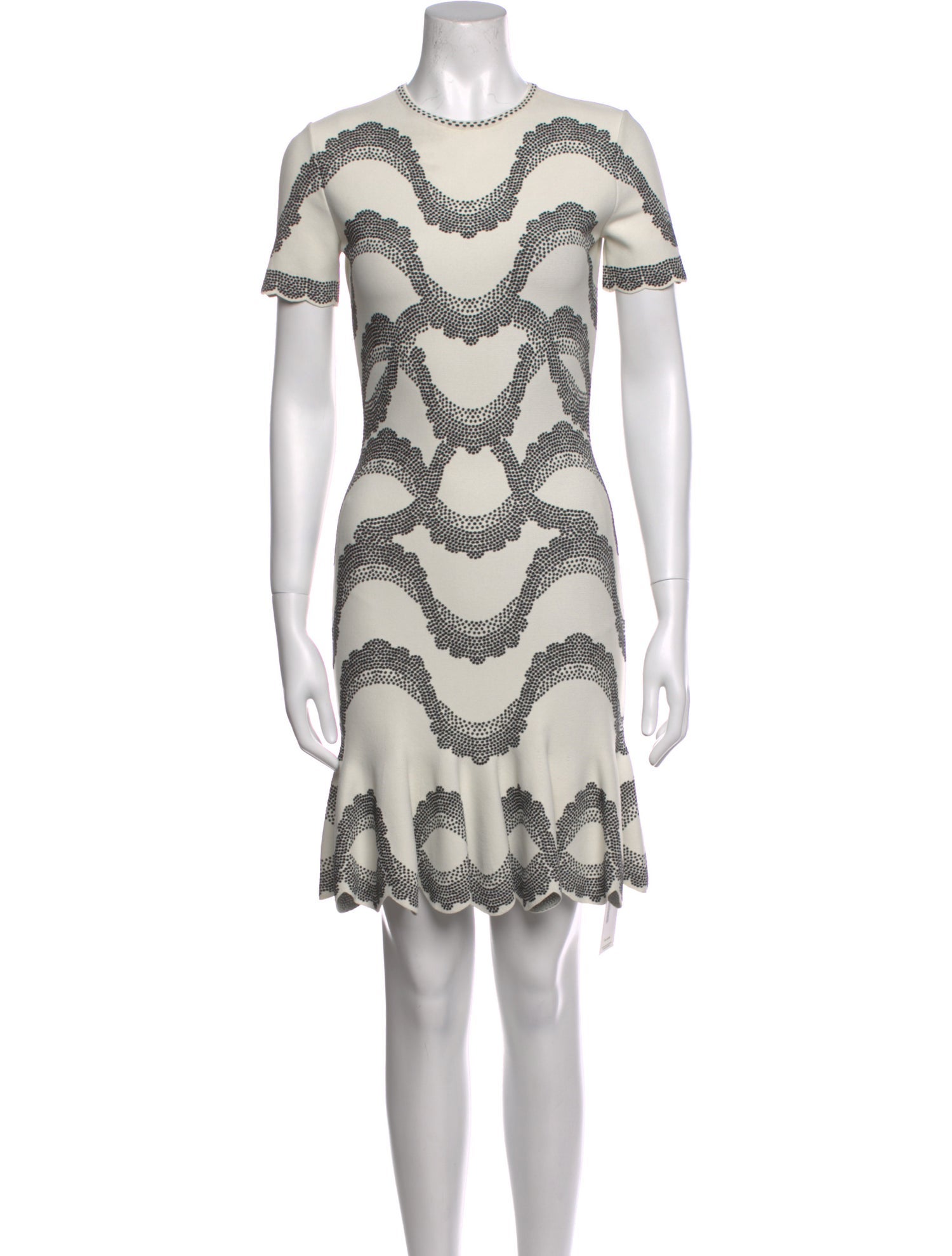 Alexander McQueen Lace Pattern Mini Dress