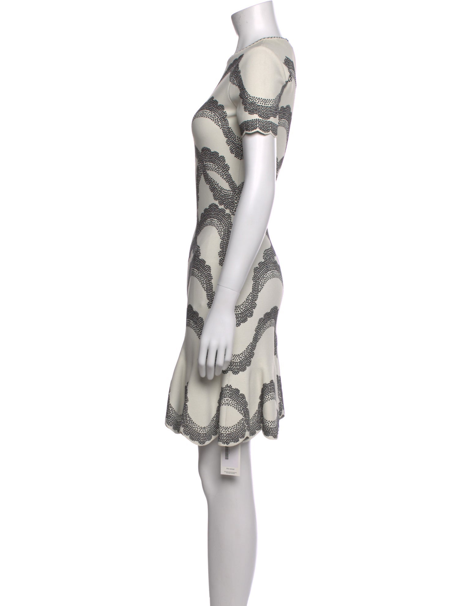 Alexander McQueen Lace Pattern Mini Dress