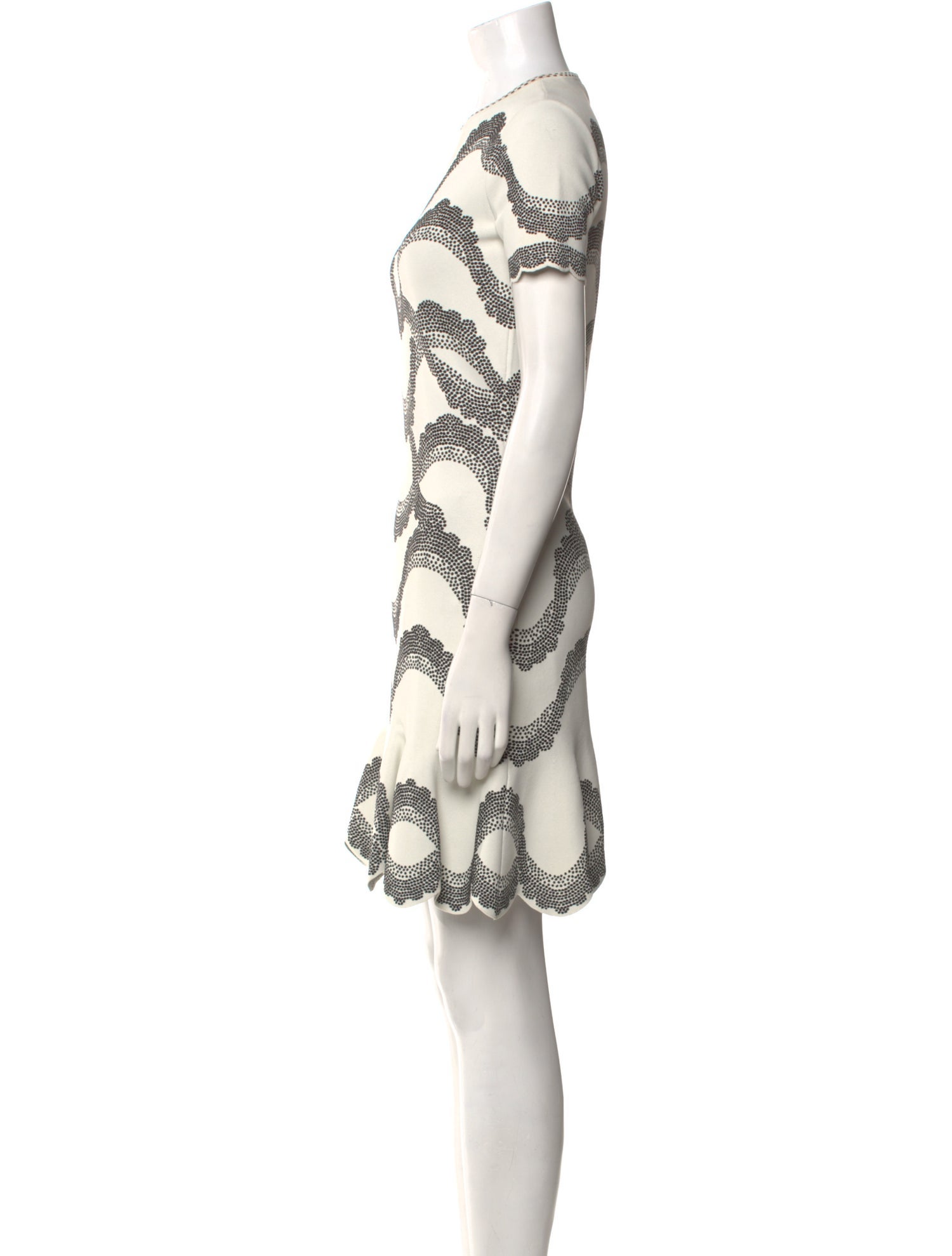 Alexander McQueen Printed Mini Dress