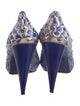 Alexander McQueen Leather Printed Pumps