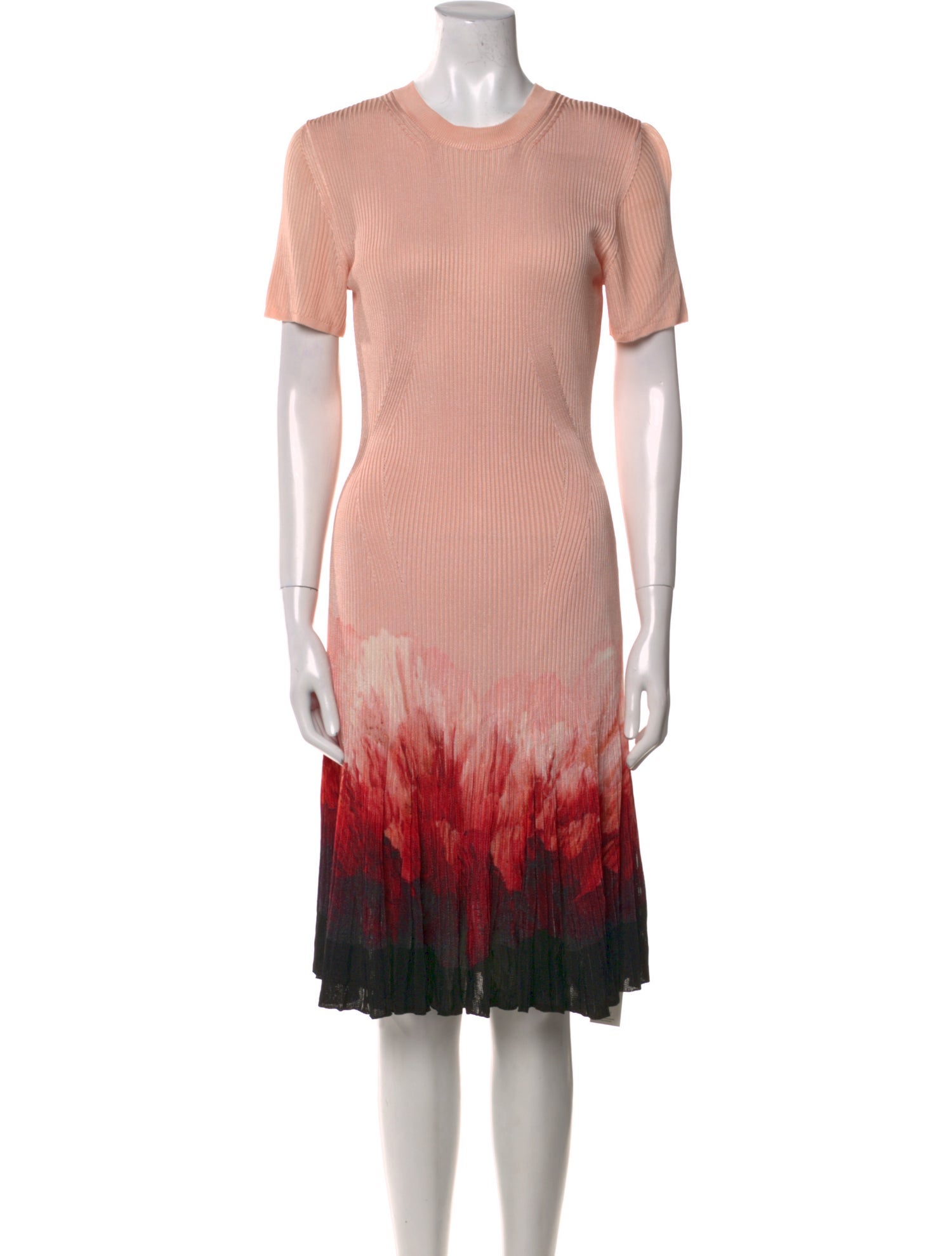 Alexander McQueen Printed Knee-Length Dress