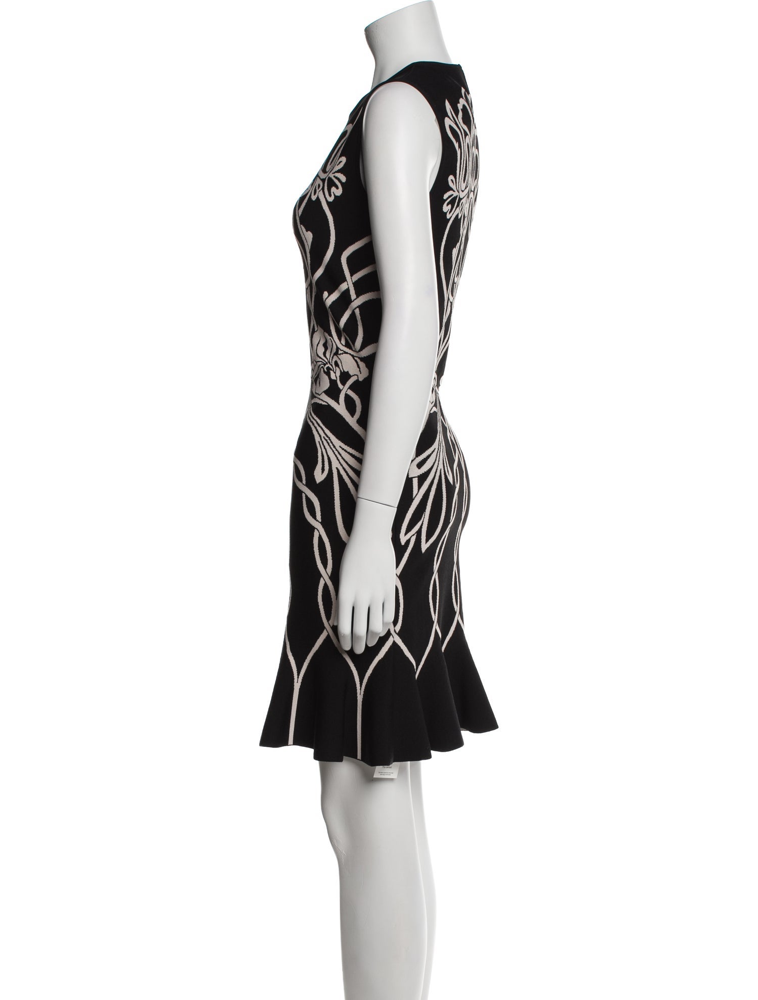 Alexander McQueen Printed Mini Dress w/ Tags