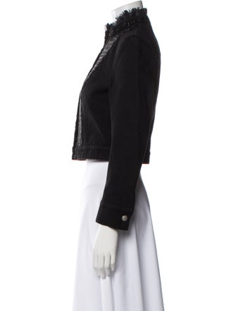 Alexander McQueen 2019 Evening Jacket