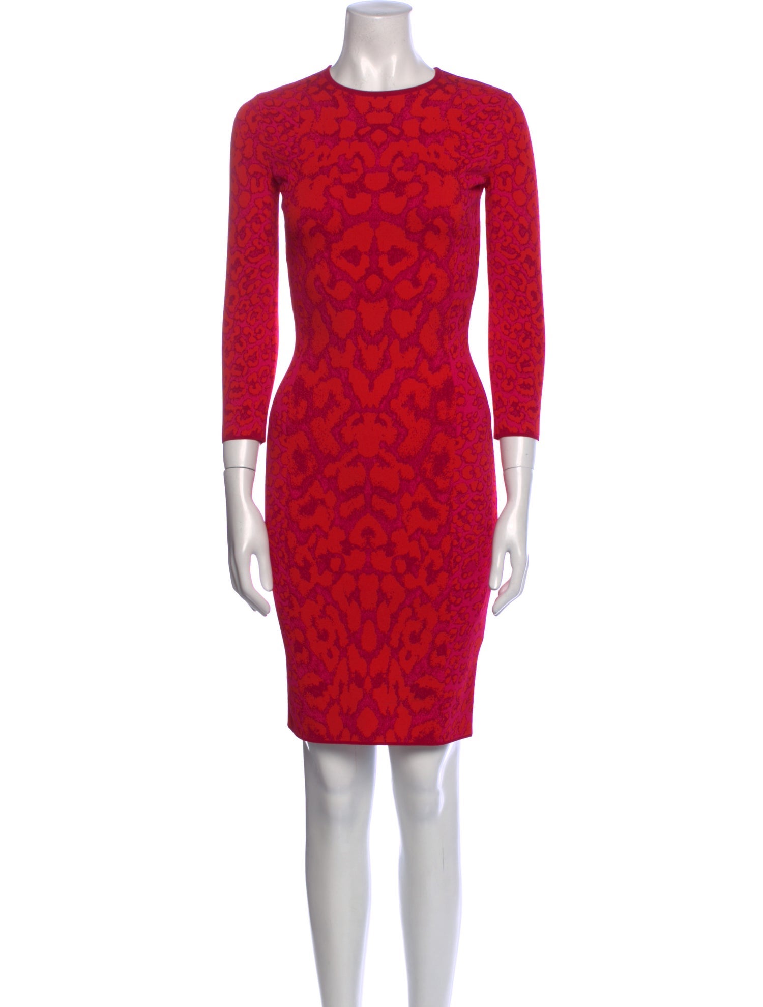 Alexander McQueen Printed Knee-Length Dress