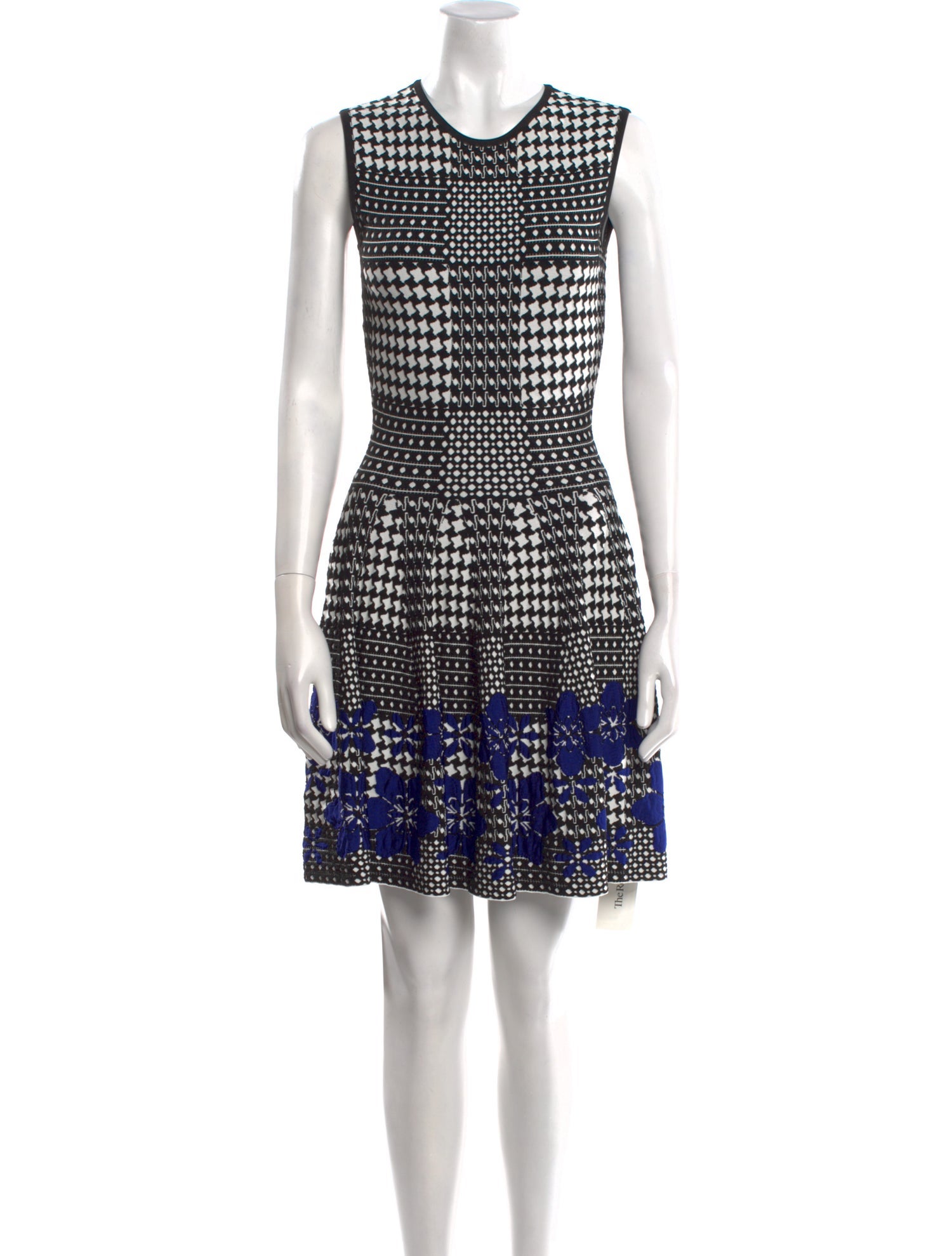 Alexander McQueen Printed Mini Dress