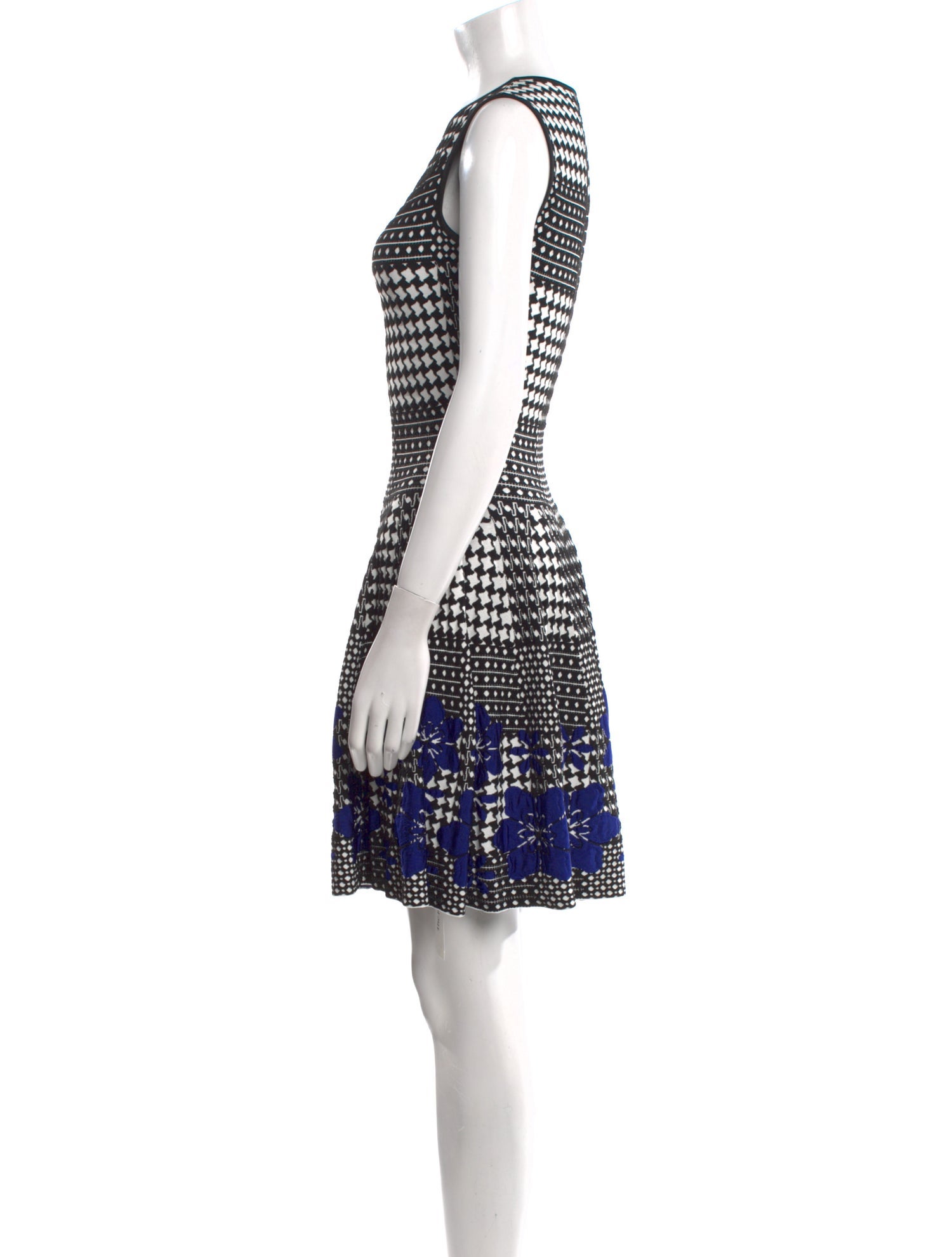 Alexander McQueen Printed Mini Dress